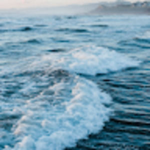 Meet your Posher, Kendall